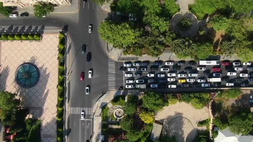 Big City Traffic. Red light cars and bus are waiting to moving on the rood