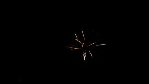 Fireworks 194
