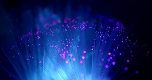 Abstract Fiber Optic Light Display on Black Background