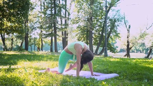 Young European Woman Sportswear Purple Mat Practicing Yoga Pose Park Green Lush Meadow City Park
