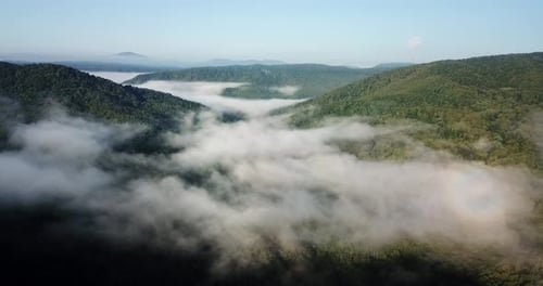Puffy clouds under summer forest and mountain trees on sunset
