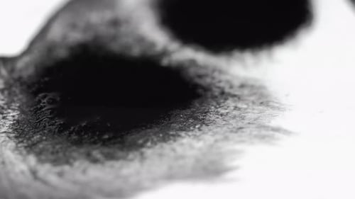 Spreading Black Ink on White Surface Macro Shot