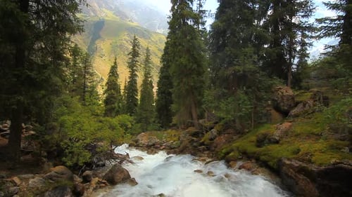 Mountain River im Wald Nahaufnahme.
Sommer