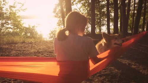 Person and Dog Relaxing in Hammock at Sunset