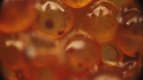 Extreme Close-Up of Translucent Spheres