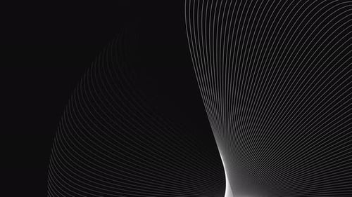 Modern Abstract Flowing White Lines Background Animation