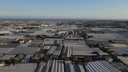 Vast Greenhouse Farms in Aerial Wide Shot