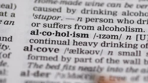Alcoholism Meaning in Vocabulary, Harmful Continual Drinking of Spirits, Abuse