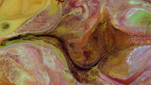 Abstract Flowing Colors and Organic Patterns