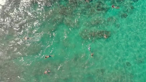 Aerial View of Swimmers in Tropical Ocean Water
