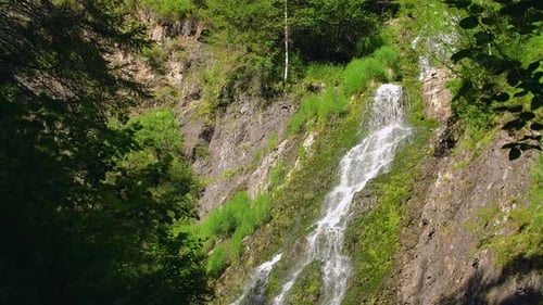 Waterfall in the forest
