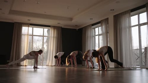 Yoga Class of Healthy Mature Women Practicing Warrior Pose Enjoying Morning Physical Fitness
