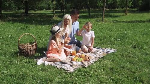 Family Picnic Enjoying Sunny Day in the Park