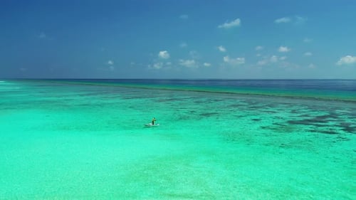 Aerial drone sky of paradise lagoon beach wildlife by blue water and white sandy background of a day