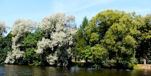 City Park 2