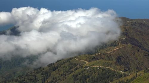 Road From the Forest and Bushes on the Mountain Ridge Above the Clouds