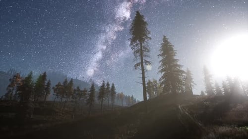 Milky Way Stars with Moonlight