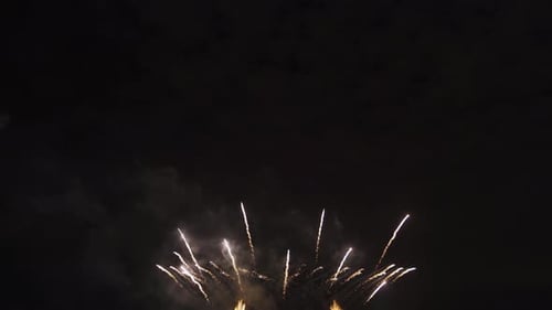 Vibrant Fireworks Display Against Night Sky Celebration