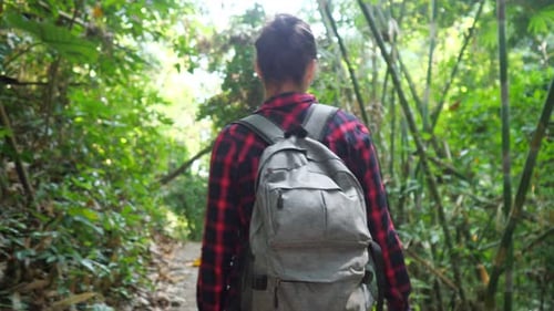 Young Woman with Backpack Walks in Lush Tropical Forest