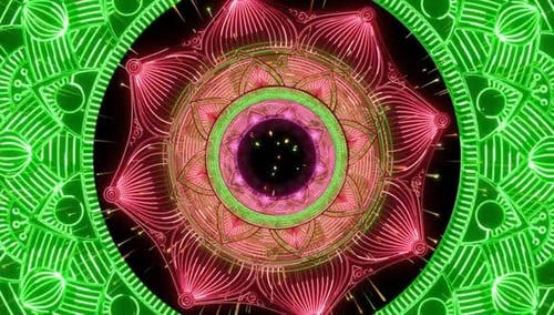 Glowing Psychedelic Floral Mandala Pattern Animation