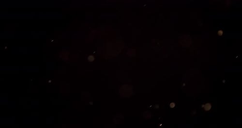 Abstract Particles Floating on Dark Animated Background