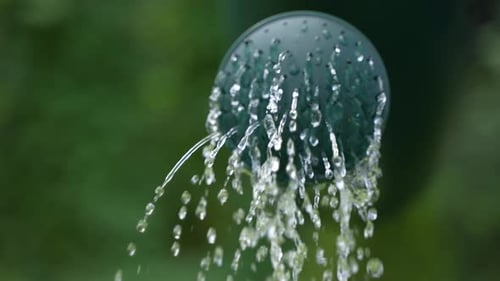 Watering in the Garden 22