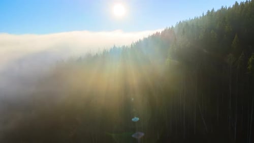 Aerial View of Amazing Scenery with Foggy Dark Mountain Forest Pine Trees at Autumn Sunrise