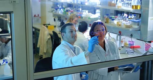 Deux scientifiques discutant sur un panneau de verre 4k