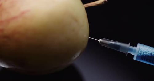 Food Genetic Modification - Syringe Injecting Liquid in Apple