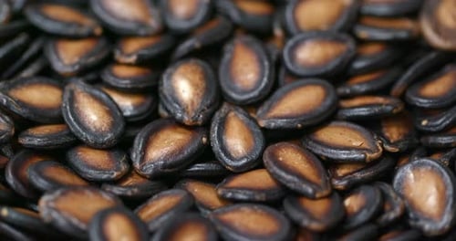 Black watermelon seed