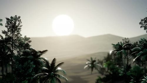 Lush Tropical Jungle Sunset with Magical Dust Particles