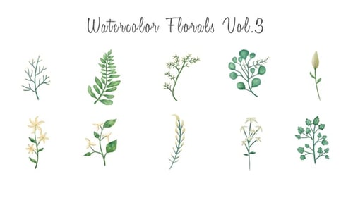 Animated Watercolor Floral Leaf Branches and Twigs