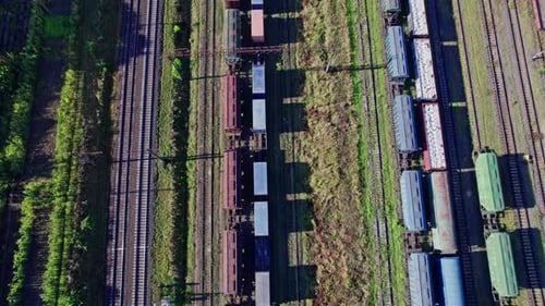 Colorful Freight Trains on the Railway Station