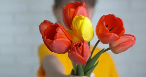 Smiling Child Holding Red and Yellow Tulip Bouquet