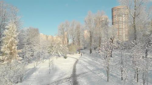 Aerial View Of The First Snow In The City