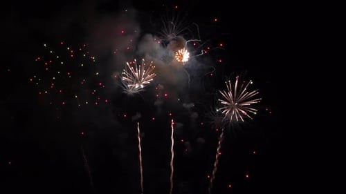 Bright Fireworks Exploding Against the Black Night Sky