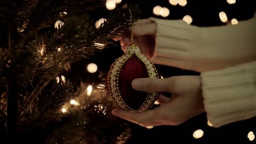 Decorating Christmas Tree with Red and Gold Ornament