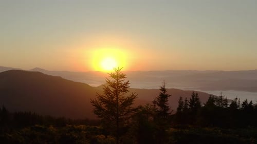 Aerial Drone View. Sunrise or Sunset in the Mountains, Flying Over the Trees in the Sun