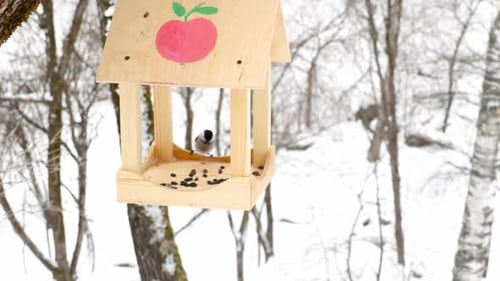 Bird Feeder in the Park