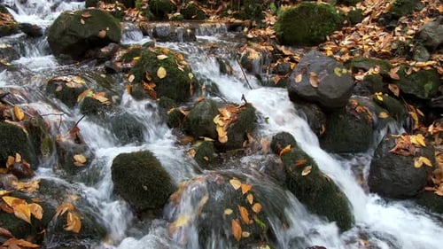 A Stream Flowing Through Mossy Stones in Autumn Forest