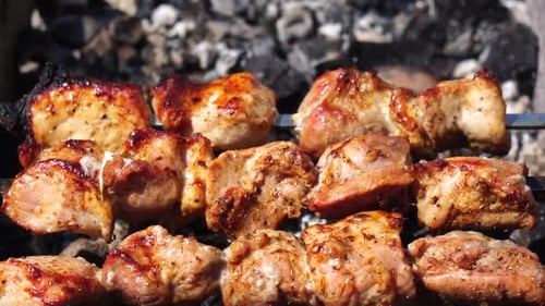 Sizzling Shish Kebab Cooking on Barbeque Grill