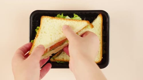 Hand Putting Sandwich into Container