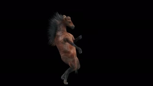 3D Animation of a Dancing Horse