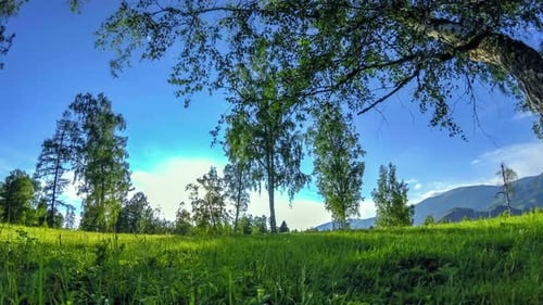 Mountain Meadow Time-lapse at the Summer or Autumn Time. Wild Nature and Rural Field. Motorised