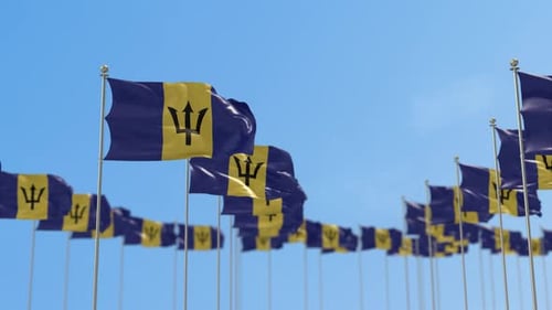 Barbados National Flags Waving in Wind Seamless Loop