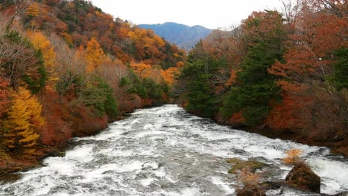 River in Forest Autumn