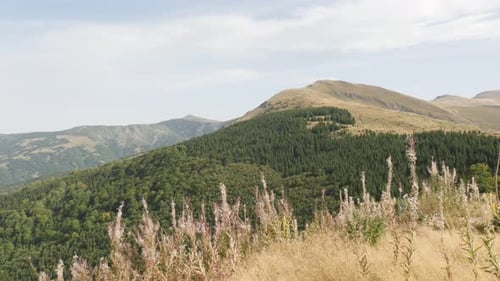 Tilting on Midzor peak by the day 4K 2160p 30fps UltraHD footage - Eastern Serbian mountain ranges