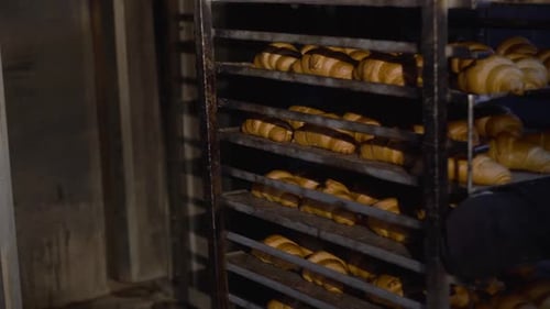 Pulling Out a Rack of Plates with Croissants During Working Process in a Bakery