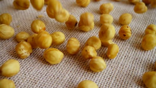 Hazelnut Nuts 2