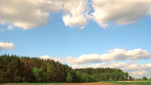 Fast Clouds In The Woods